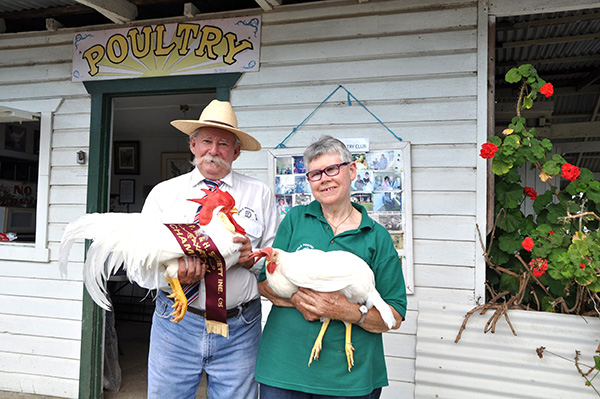 A man with animpressive moustache holding an impressive rooster next to a woman holding a large hen