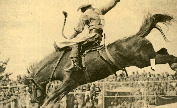 An old photo of a horse bucking with a cowboy holding on